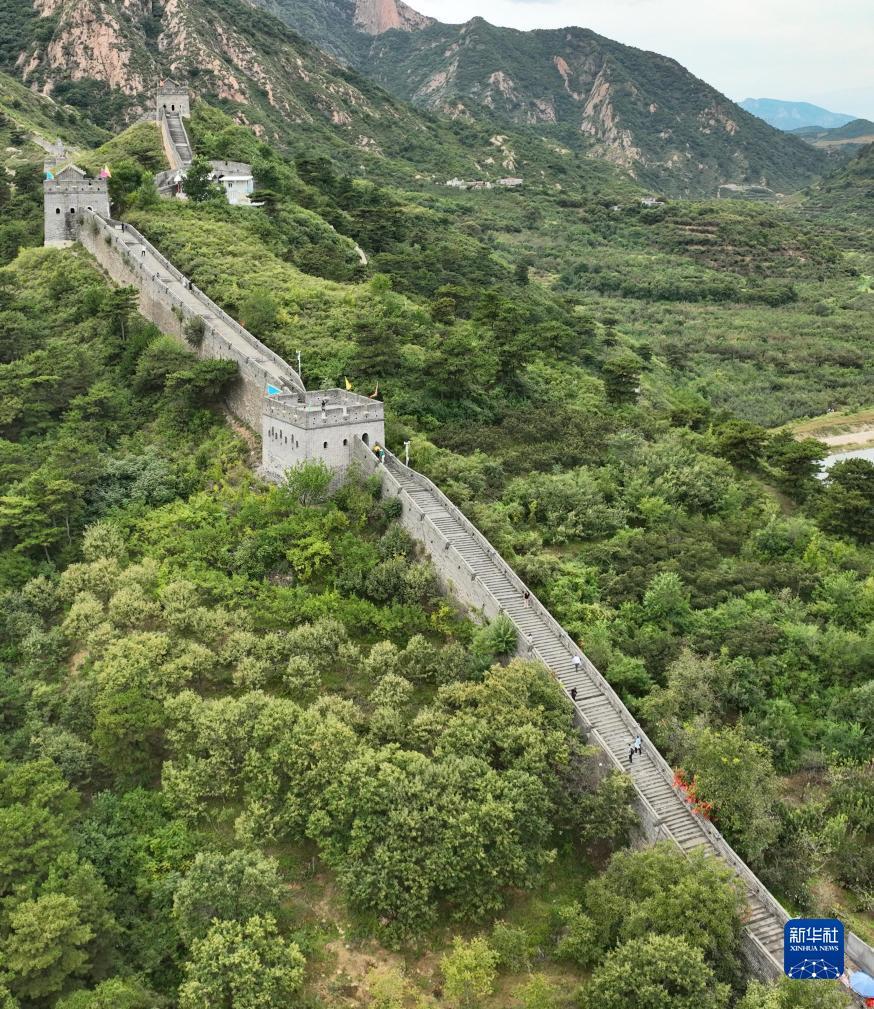 手机购彩中心登录